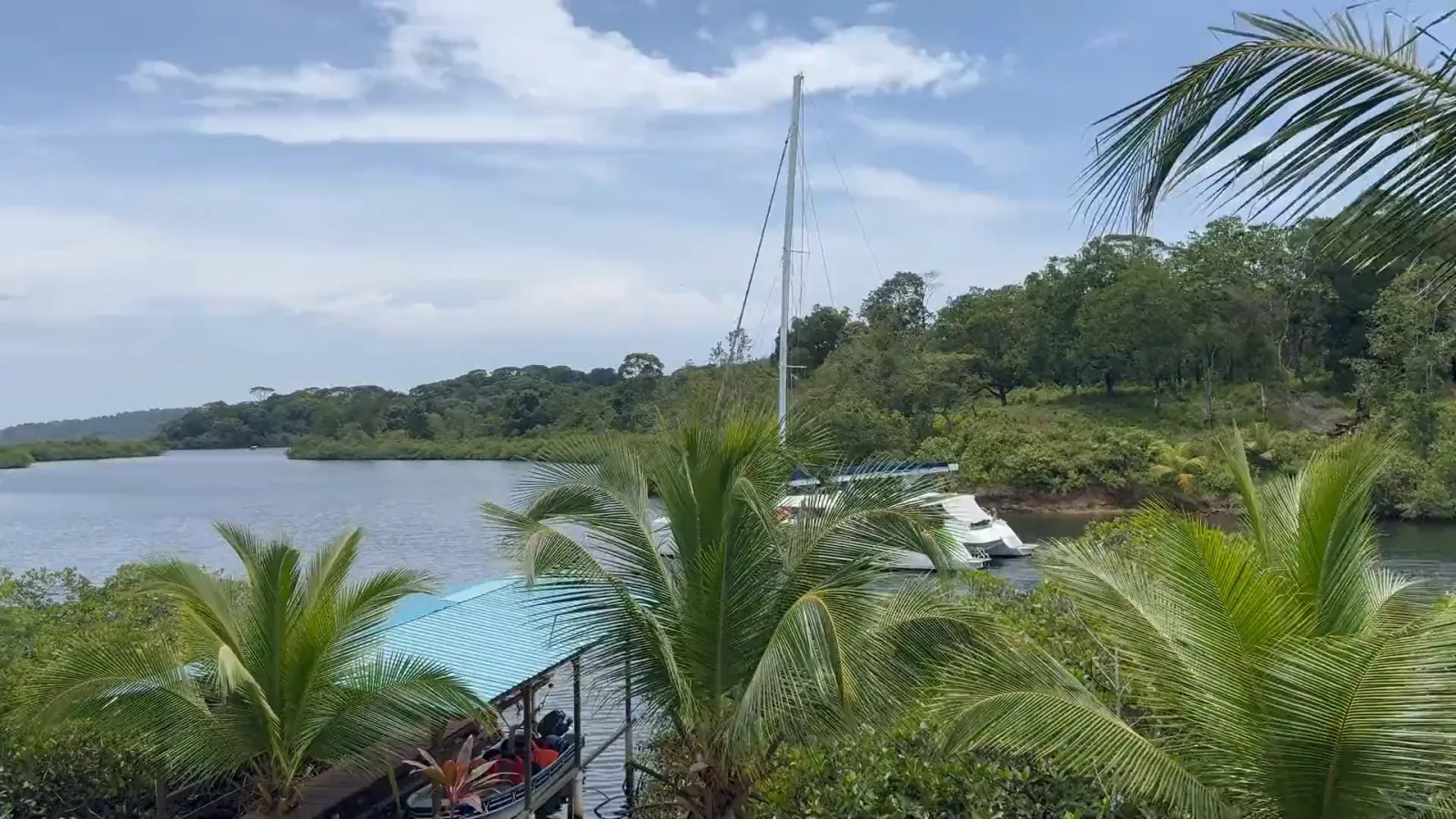 A catamaran anchored in the lagoon beyond the palms and the dock