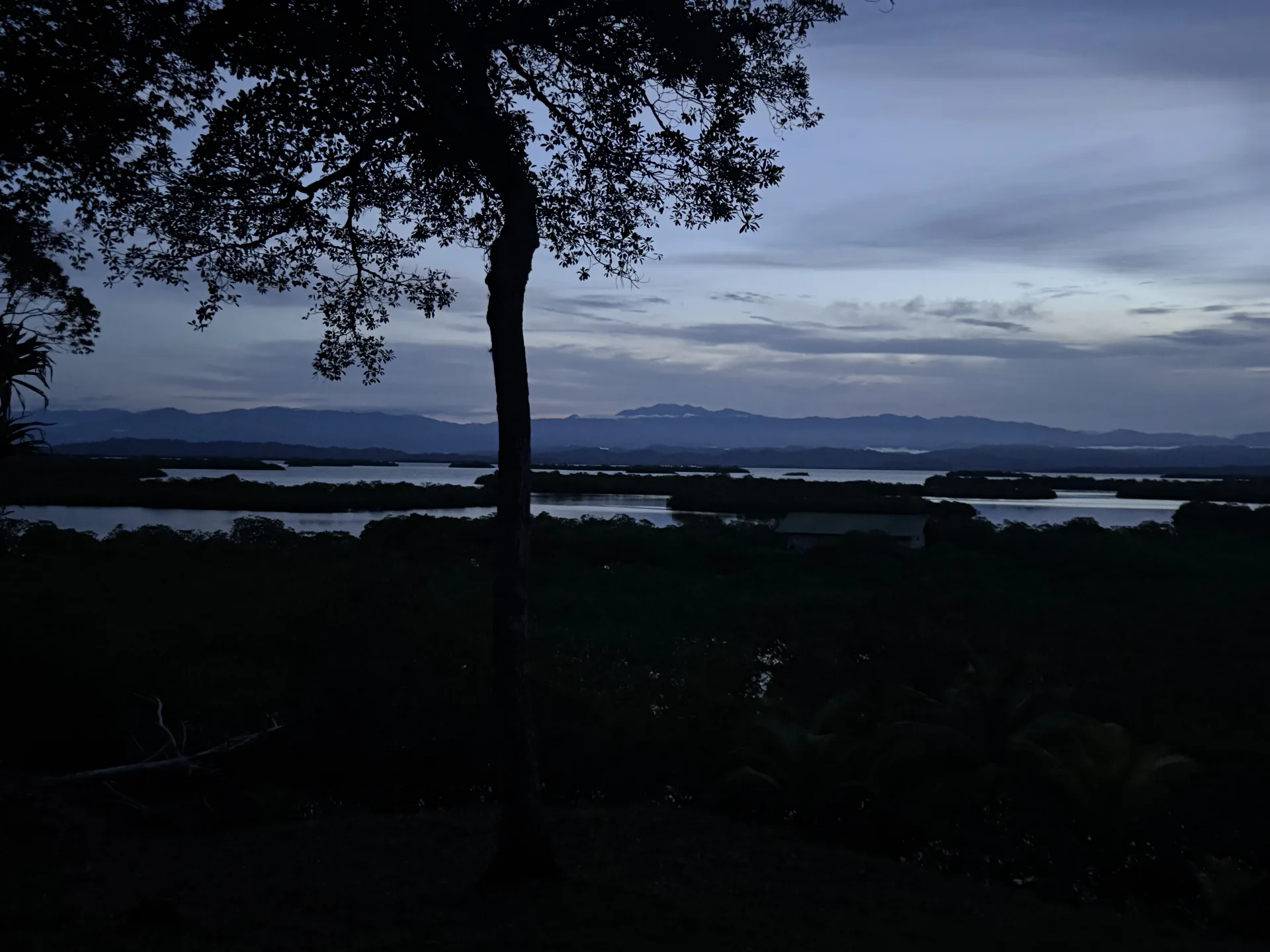 A big tree silhouetted against the blue hour over the lagoon, mountains on the horizon