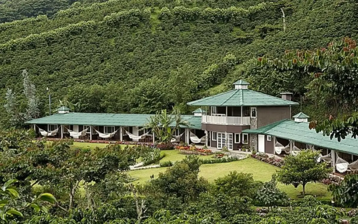 A coffee plantation in the highlands of Boquete, Chiriquí