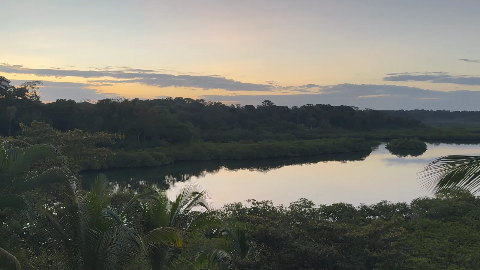 Dawn over the lagoon from the hacienda deck, pastel sky and palms