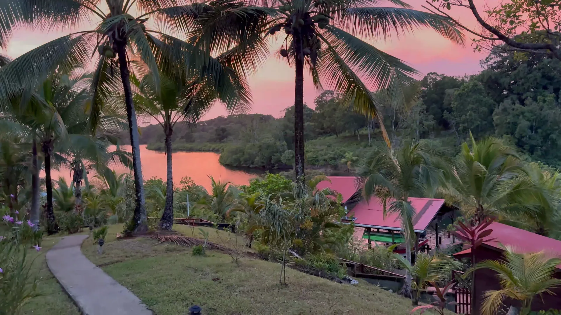 Sunset over the water from the island path, pink sky behind the palms